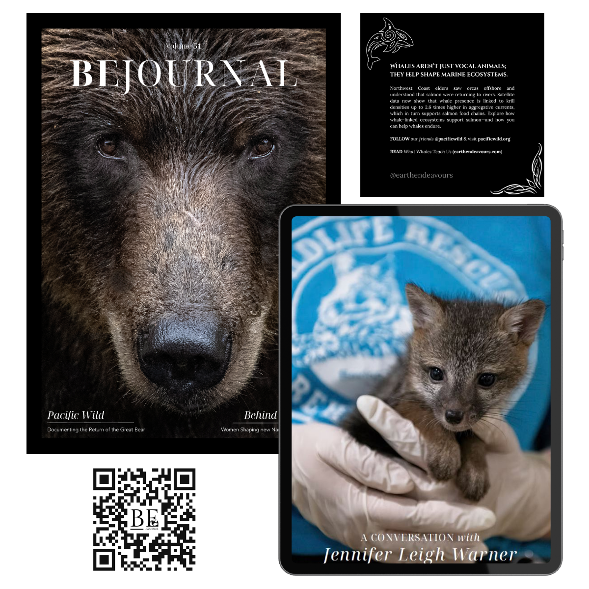 BEJournal Collector's Edition