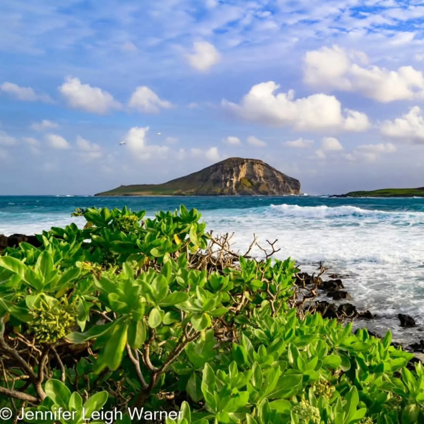 I am dreaming of being back in Hawaii looking at this gorgeous view of Mānana Island also known as Rabbit Island.

Did you know that Mānana is a State Seabird Sanctuary it is home to over 10,000 wedge-tailed shearwaters, 80,000 sooty terns, 20,000 br