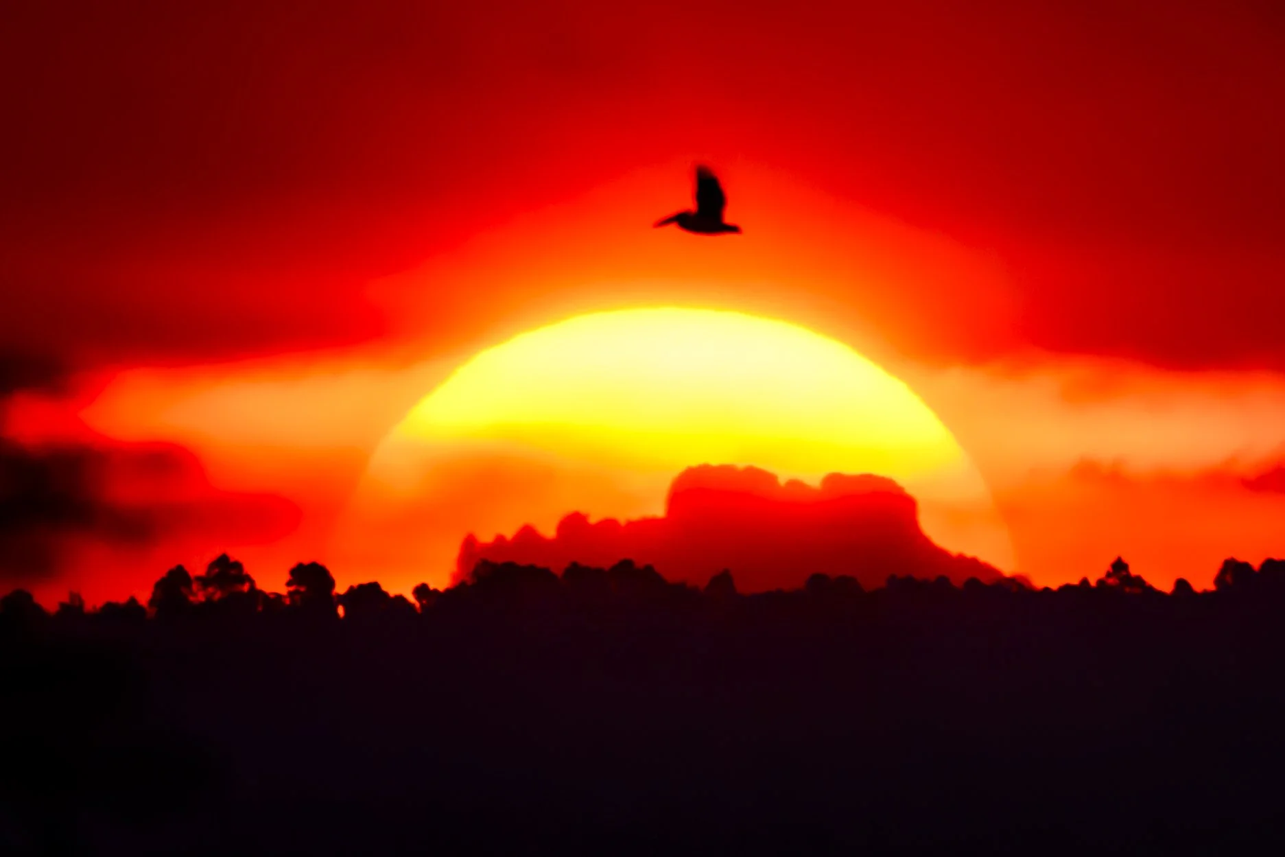 2027 KENYA: WILDLIFE MIGRATION PHOTOGRAPHY ADVENTURE 
