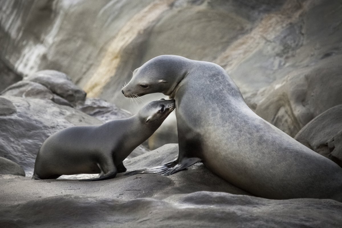 0360 Sealed with a kiss_.jpg