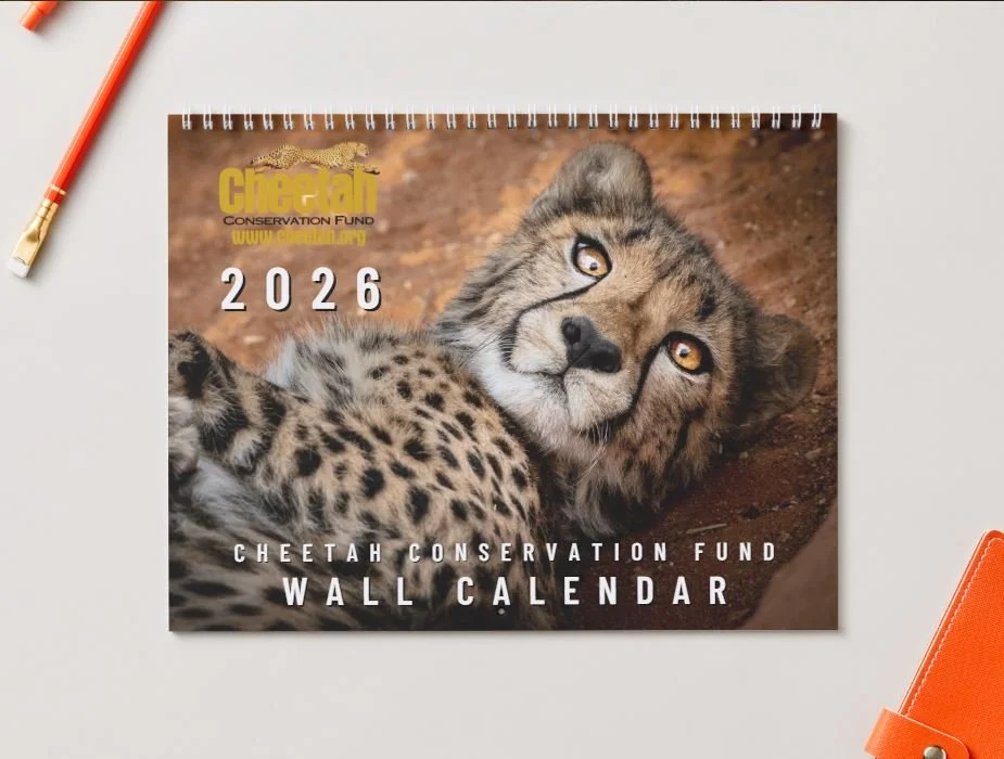 2026 CCF Wall Calendar