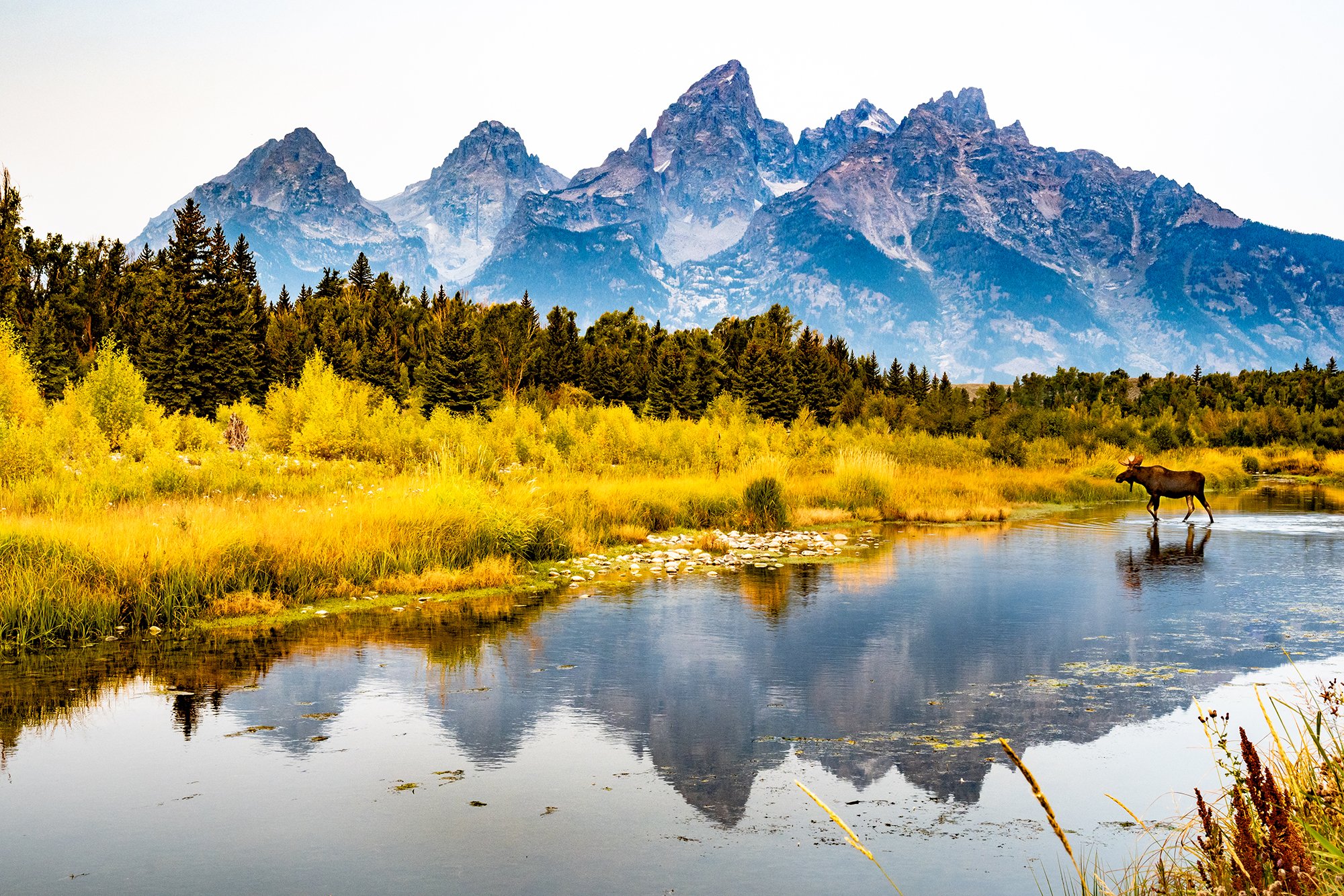 Professional Artists to Capture Teton Scenery & Wildlife at Annual