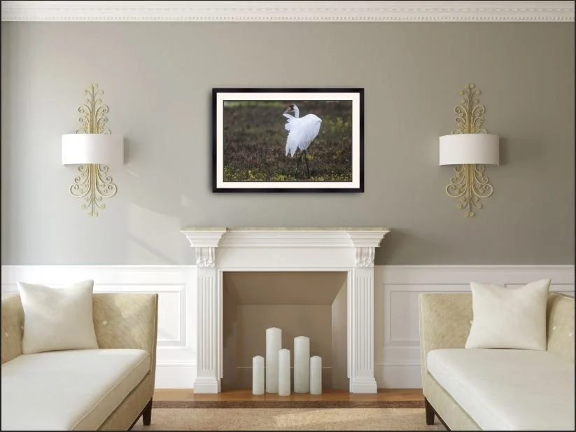 Singing in the rain.JPG