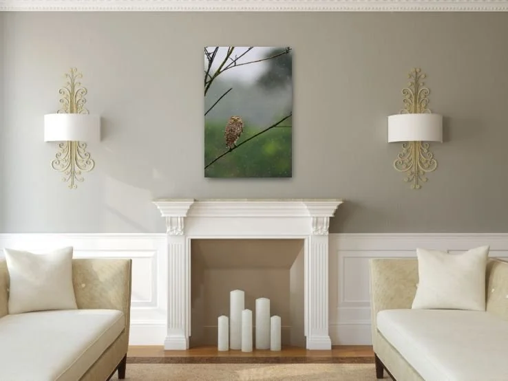 Rain Rain Go Away.JPG