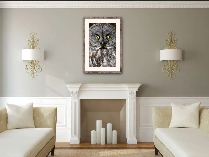 Who's Watching Who.JPG