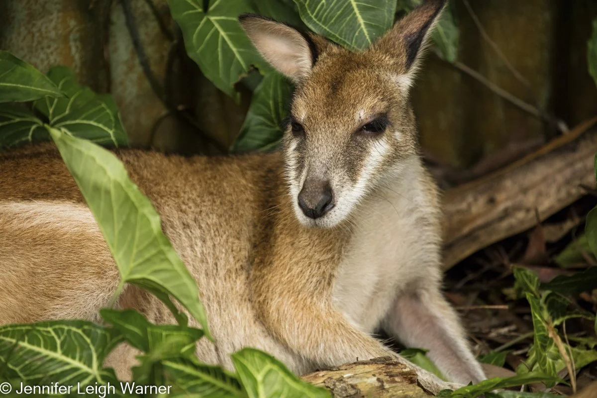 Australia Marketing Images (30).jpg