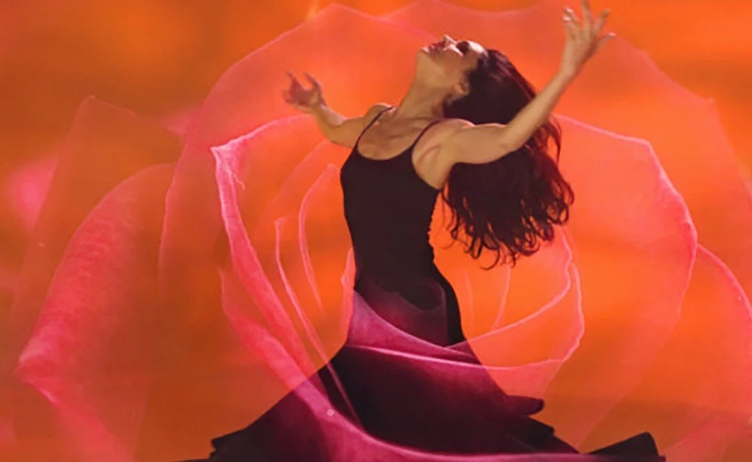 Episode 351 - Conscious Movement and Liberation with Banafsheh Sayaad