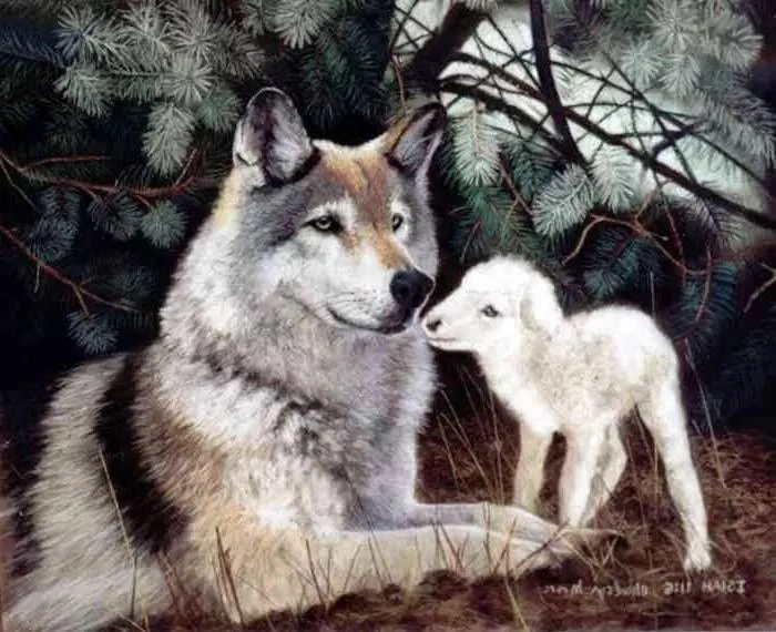 Episode 355 - Animals in the Bible: Creatures of the Same God with Michael Gilmour