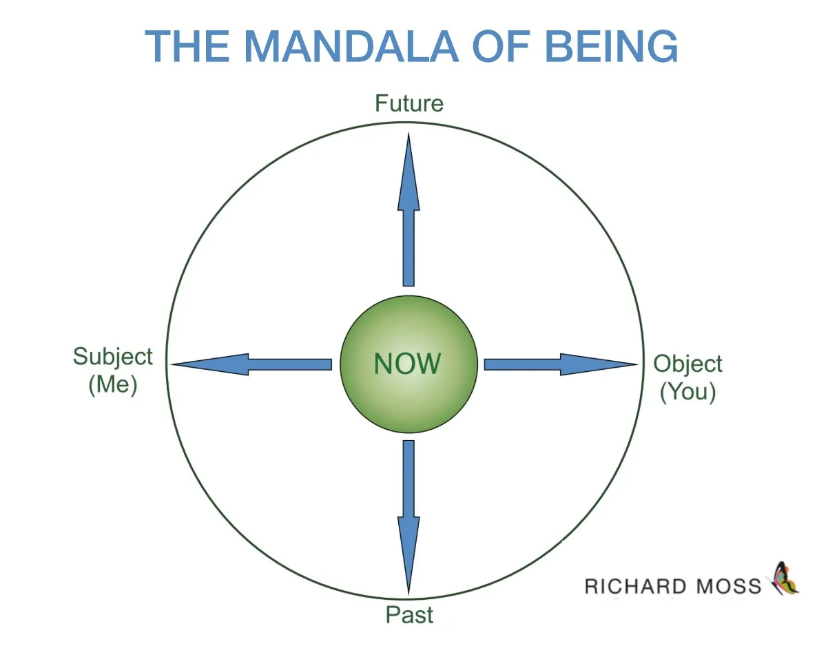 Episode 371 - Becoming Radically Alive with Richard Moss