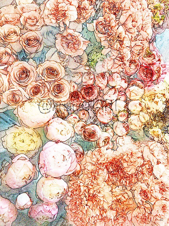 Peonies-I-w.jpg
