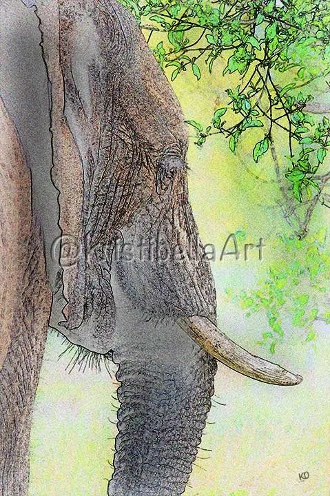 Hathi-watermark.jpg