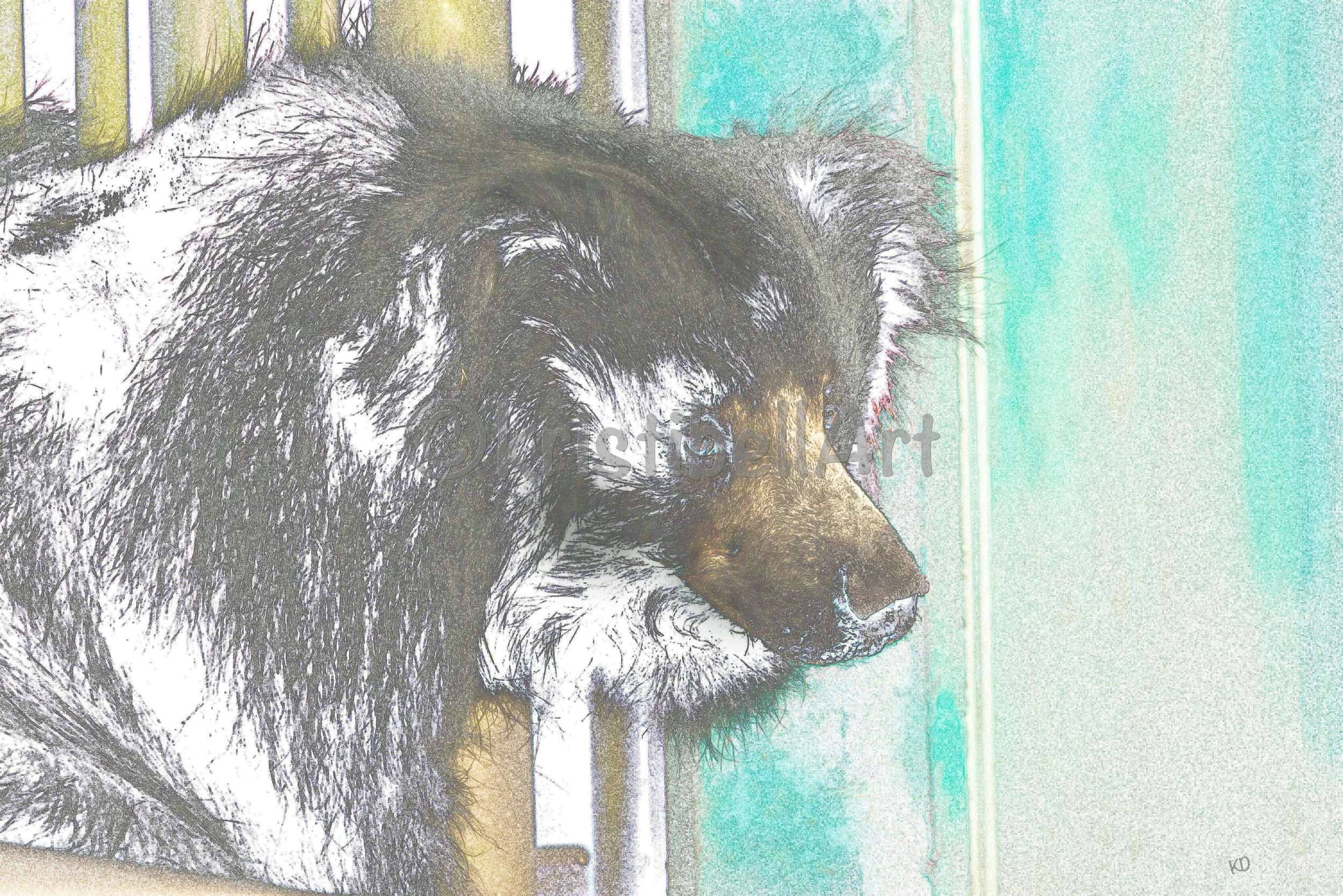 baloo-web.jpg