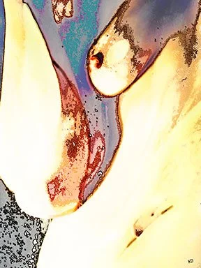 charlotte