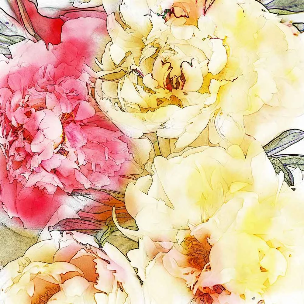 bouquet of peonies