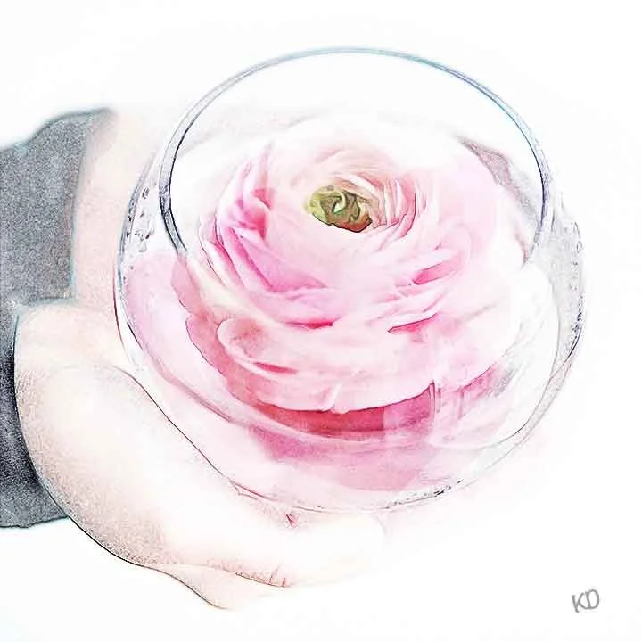 peony in a rose bowl