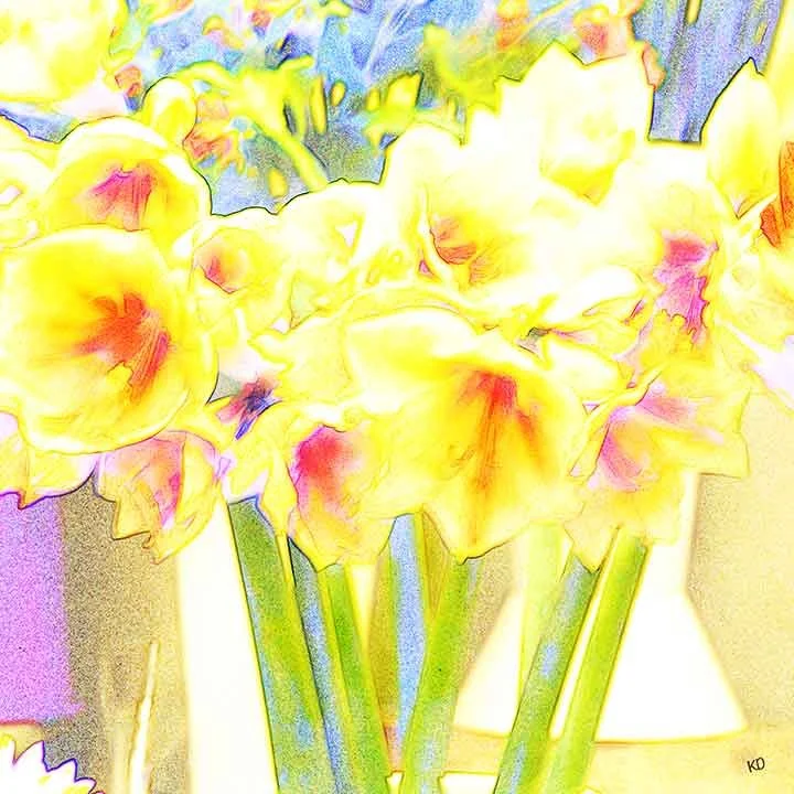 lily