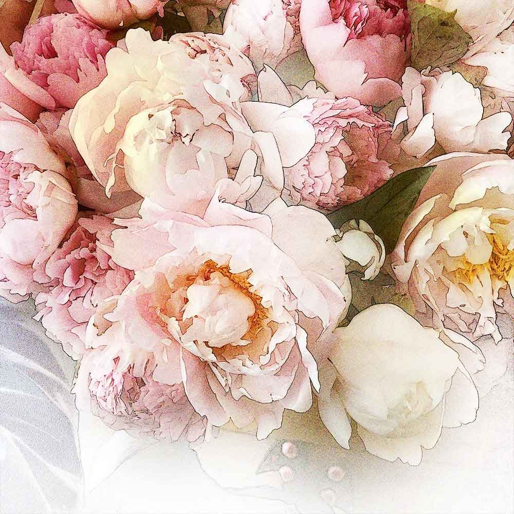 peonies III