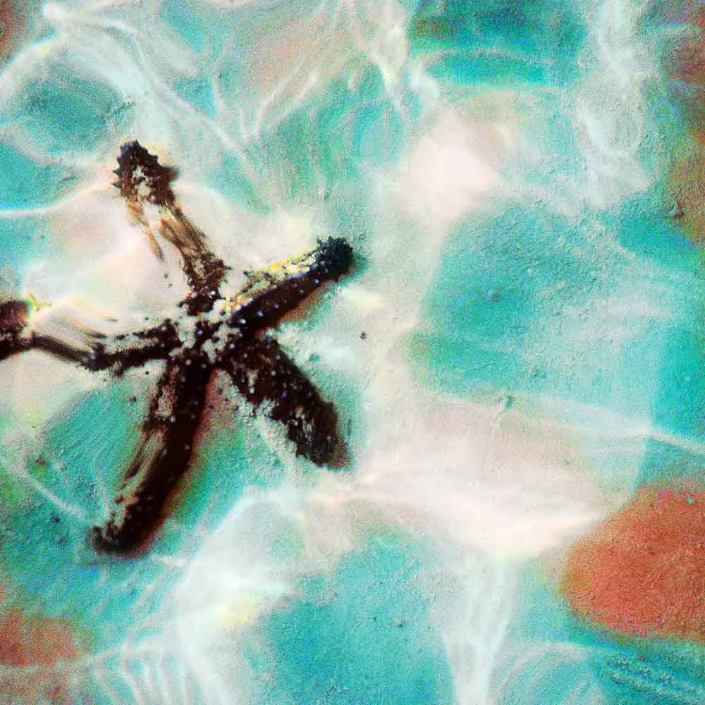 star I