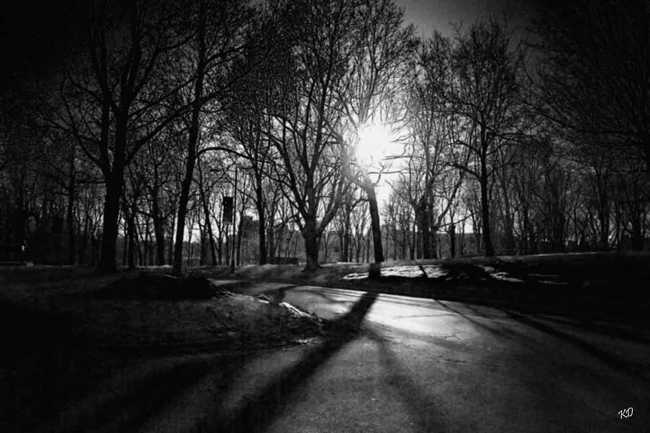 montreal, 2010