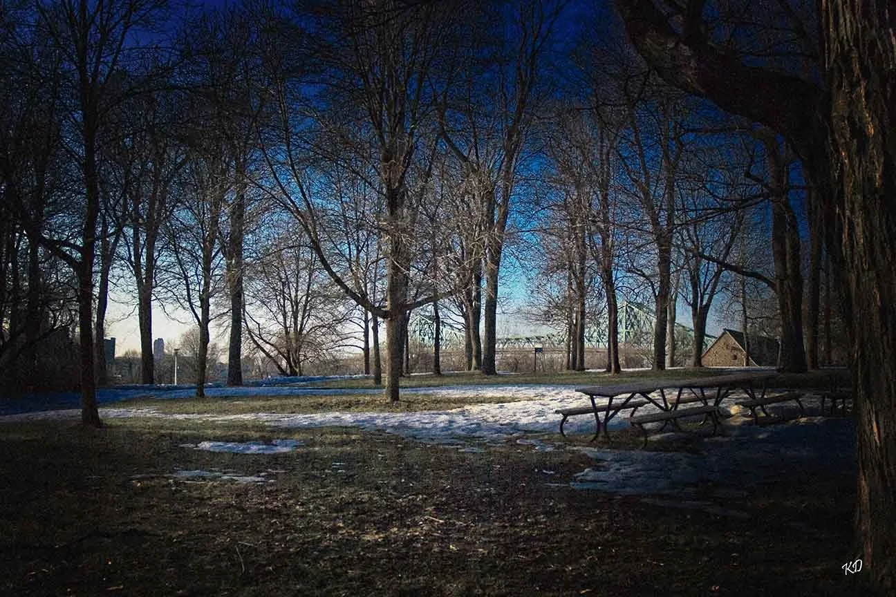 montreal park, 2010