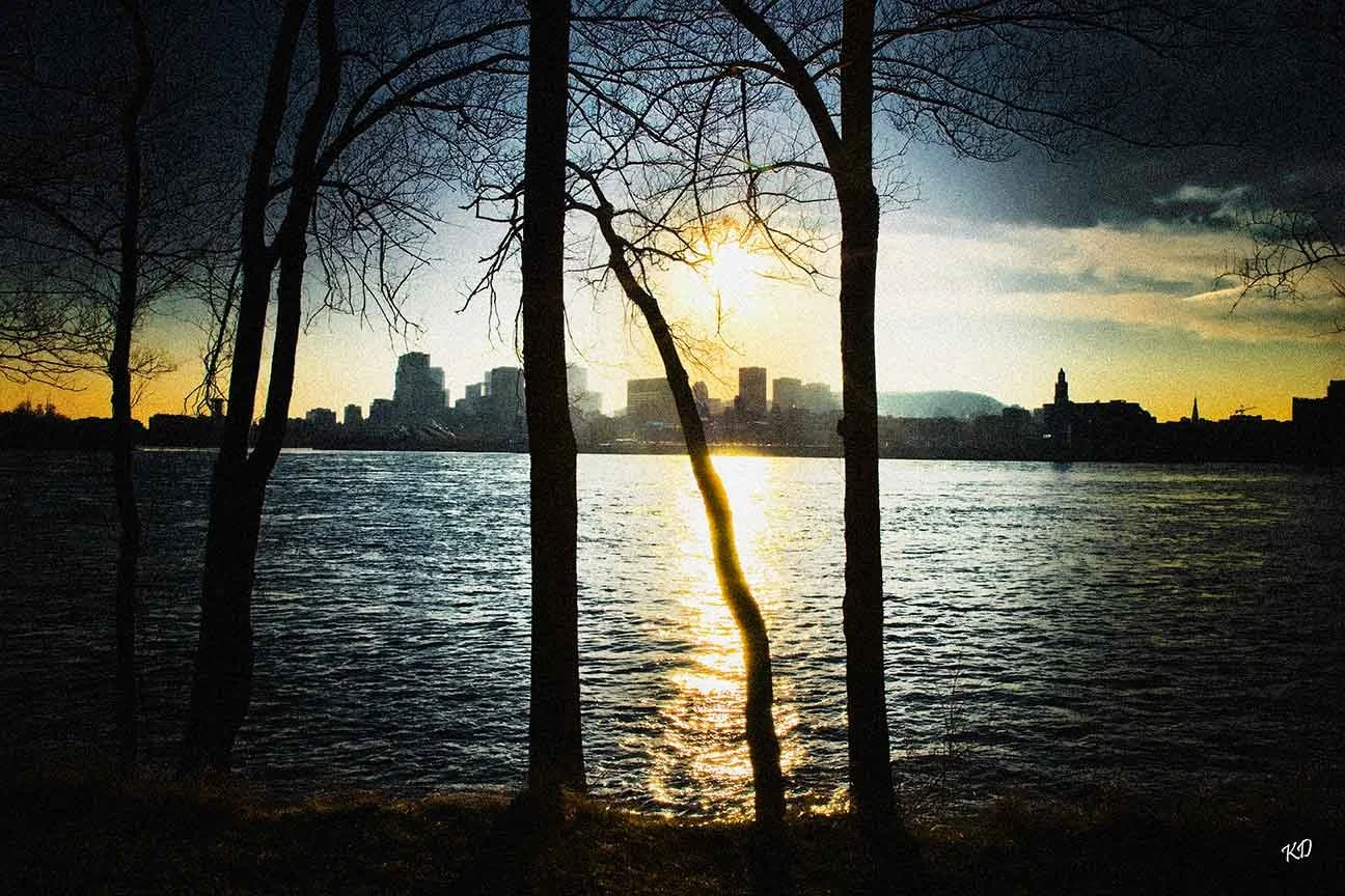 overlooking montreal, 2010
