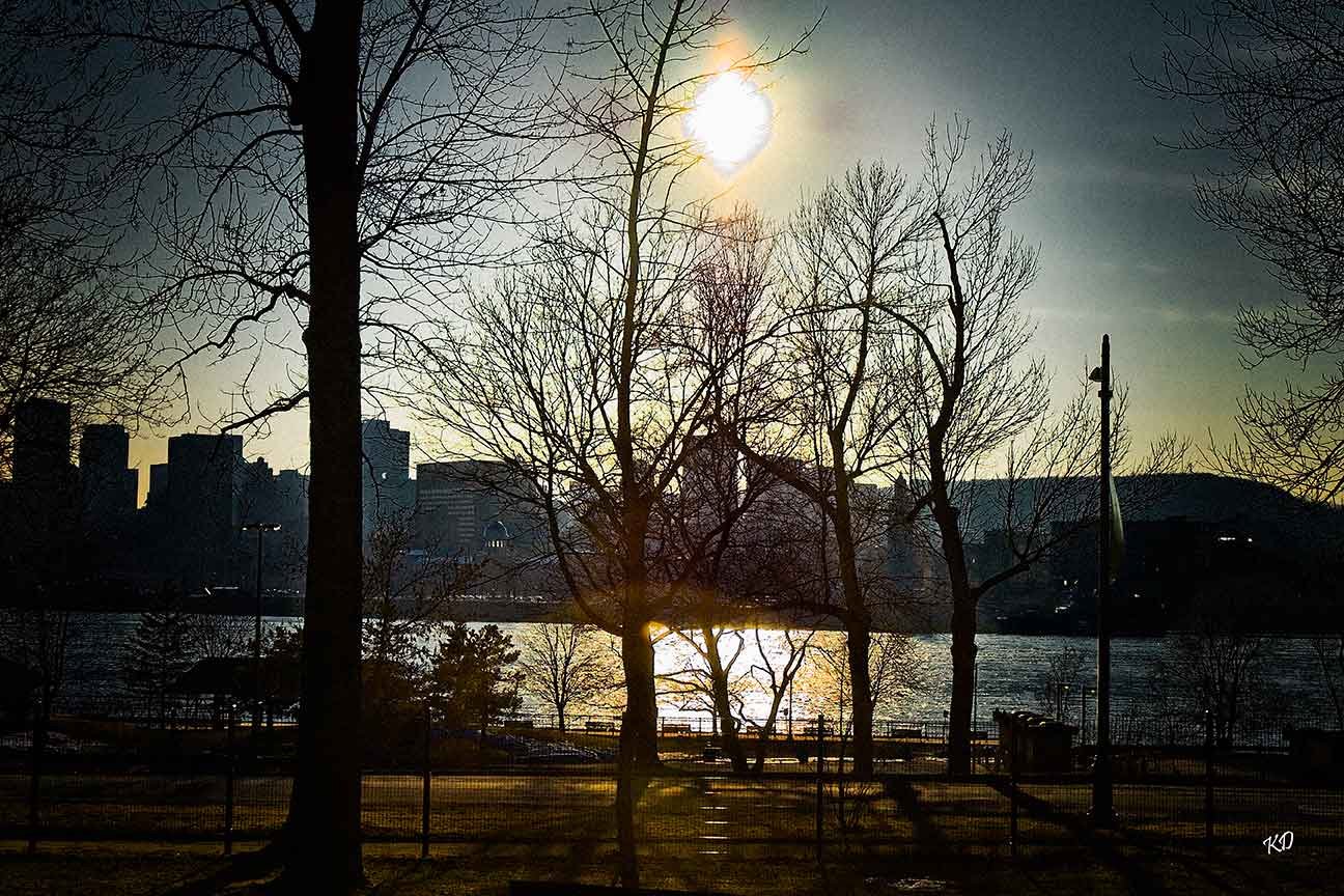 overlooking montreal II, 2010