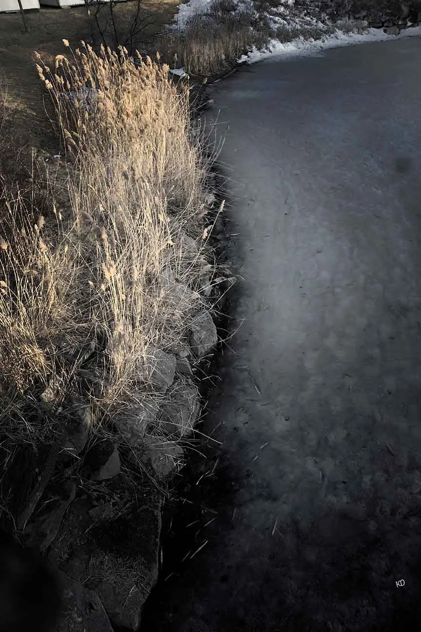 by the rivers edge 2010