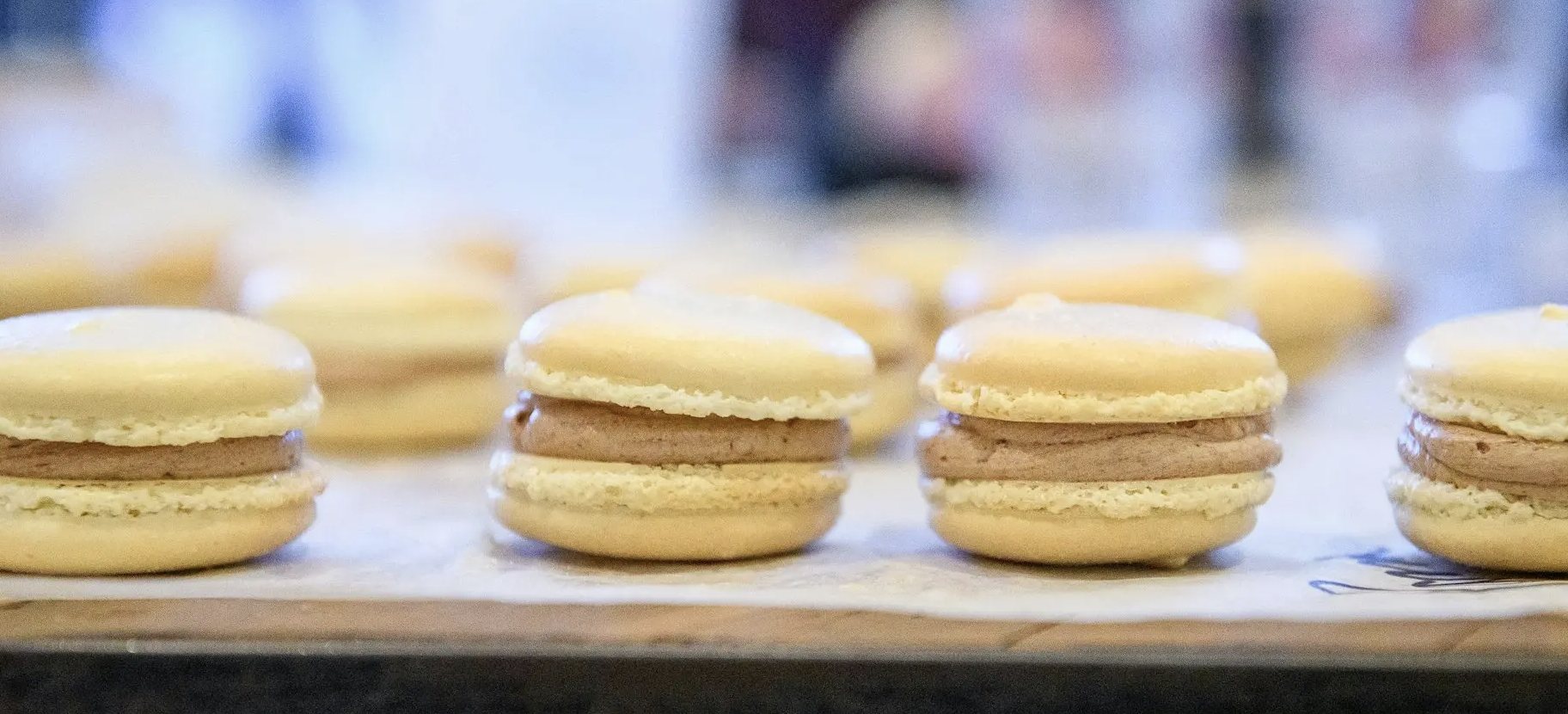Ellie's - Macaron Magic Galaxy Class