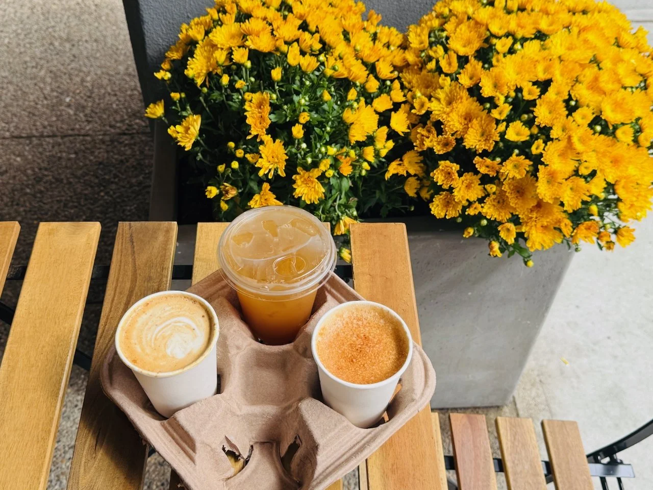Where We’re Going for Fall Treats in Providence in 2026