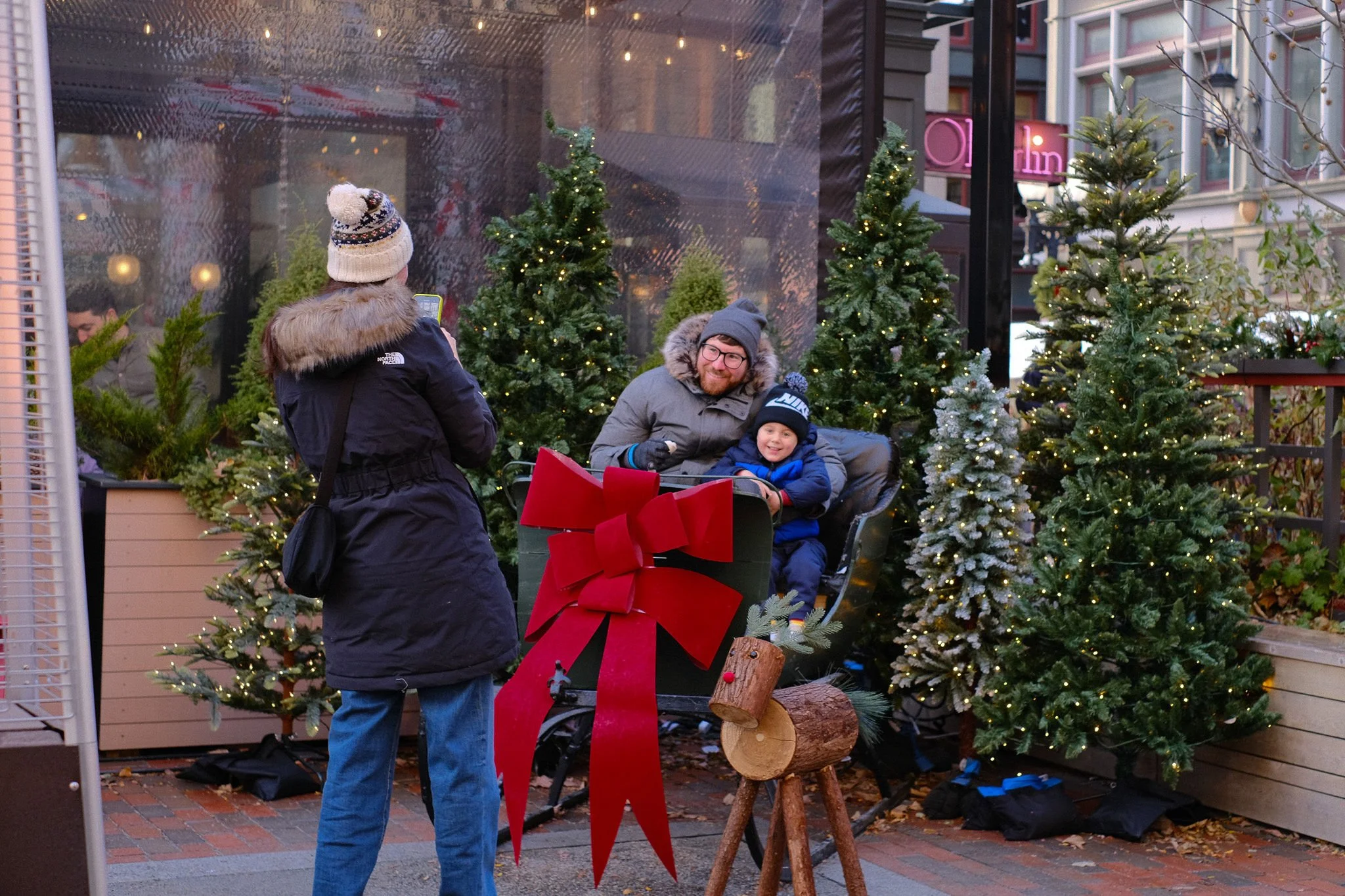 Sleigh Photo Display