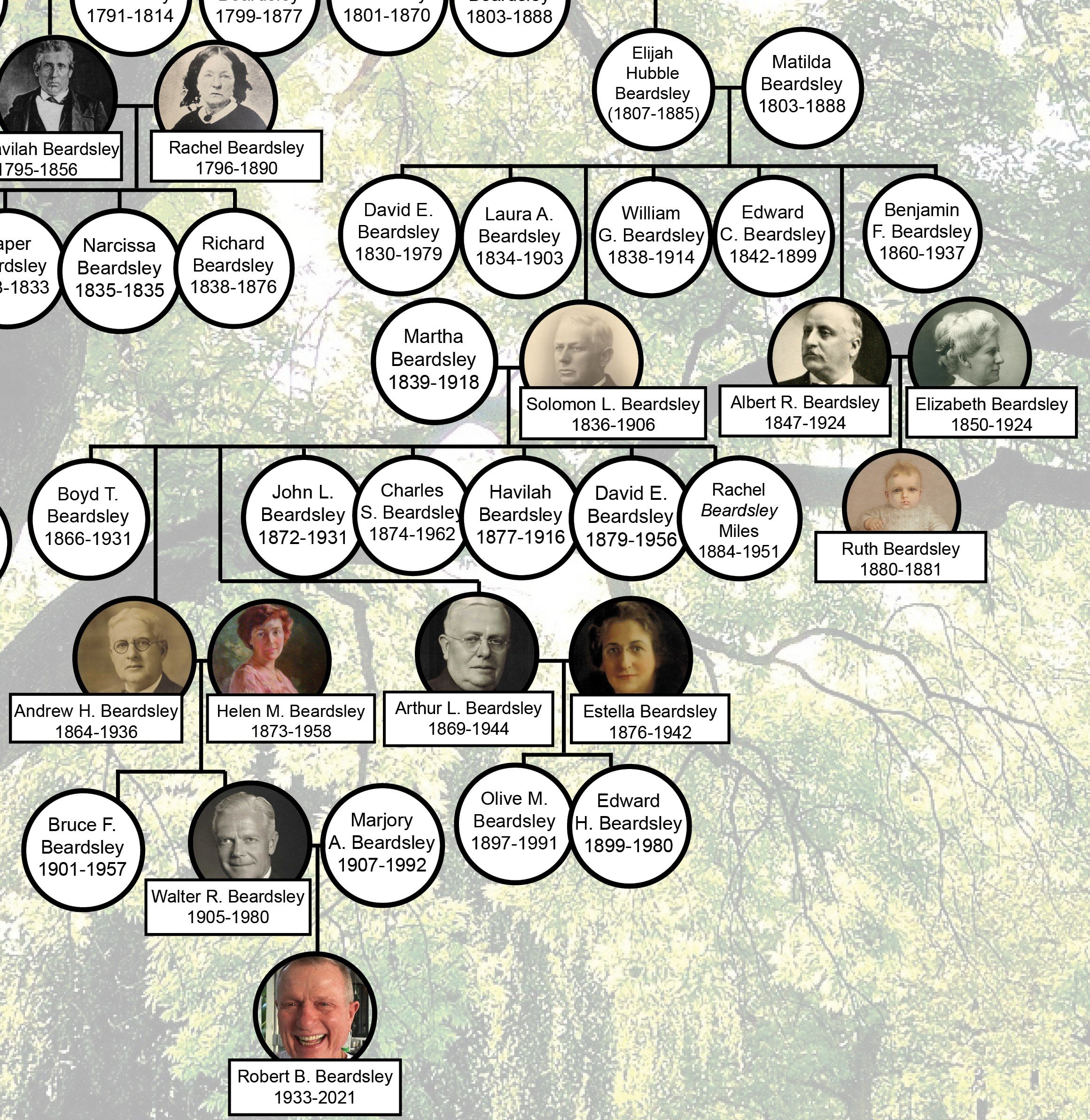 Family Trees & the Beardsleys — House of History