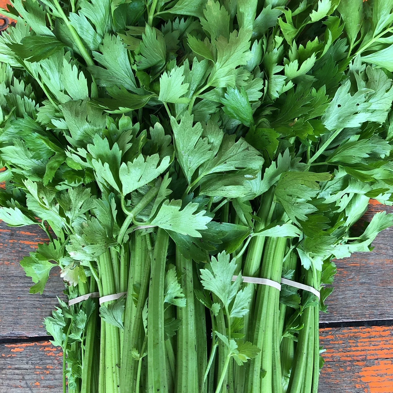 CSA Week 4