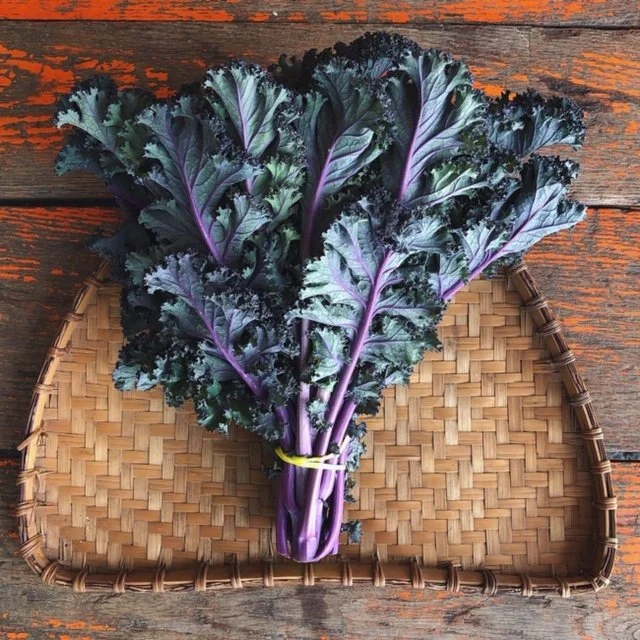 CSA Week 8