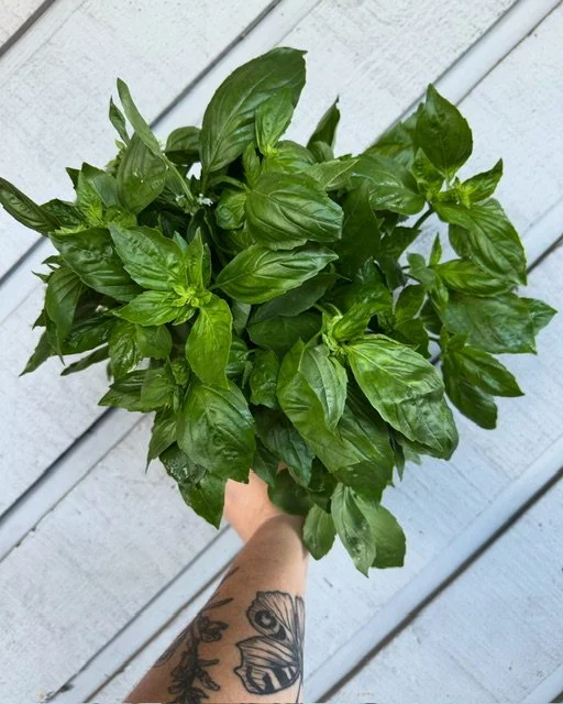 CSA Week 7