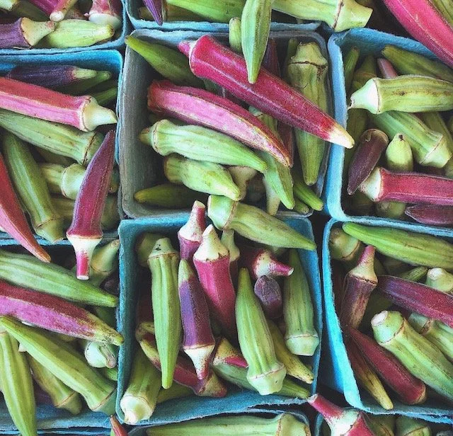 CSA Week 14