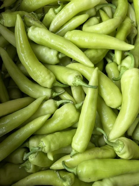 CSA Week 16