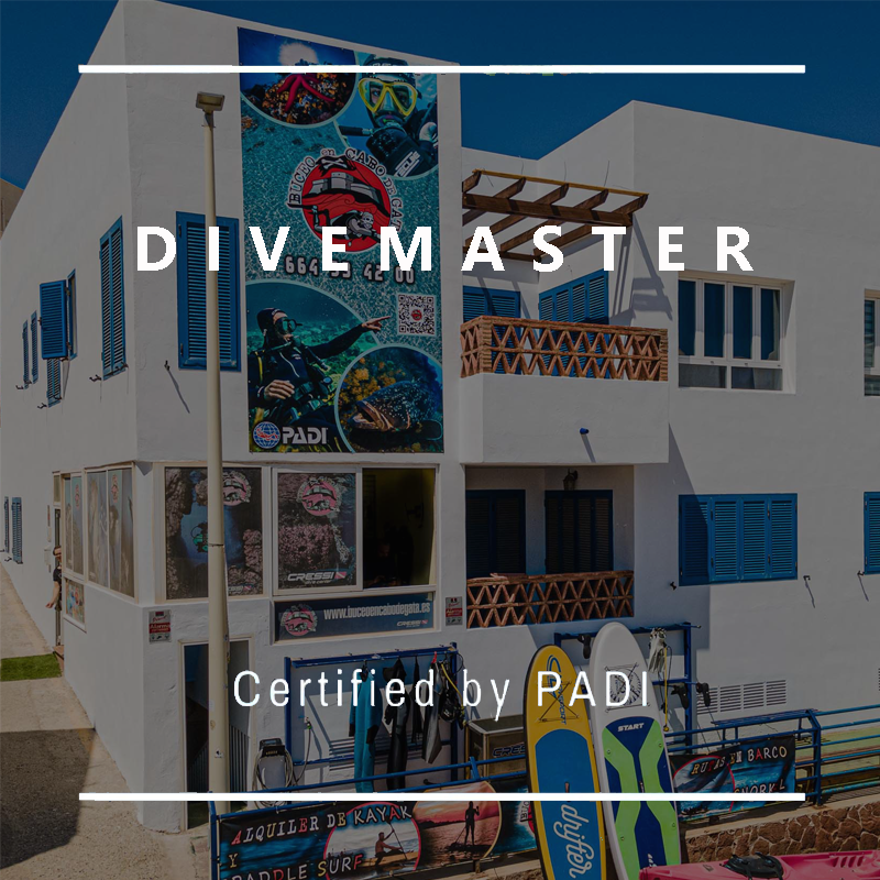 MATRICULA DIVEMASTER.png