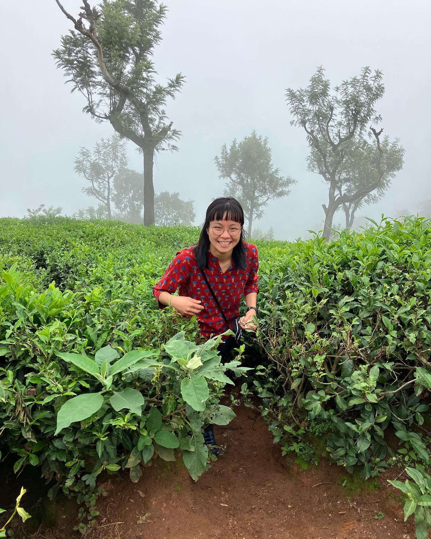 Hello Shansi Community! 

Madeleine here, posting as one of the Keystone fellows currently in India. The last time I made an appearance on Shansi&rsquo;s instagram, I was at home in Maryland trying to navigate the disappointment and challenge in a re