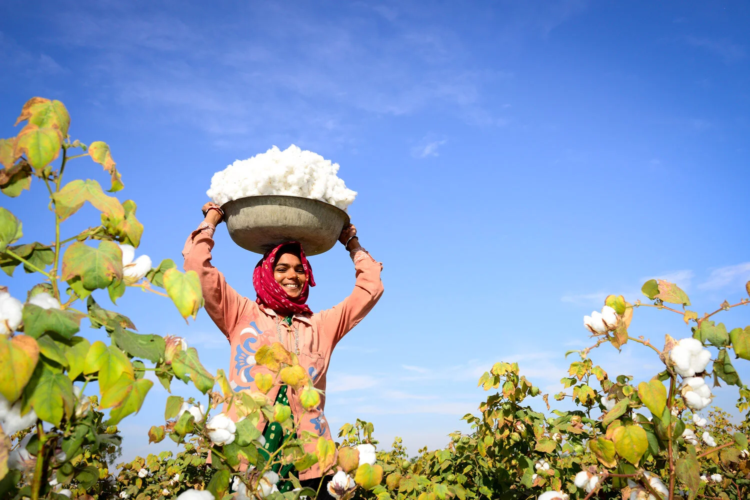 Sustainability pays. And it’s important to prove it