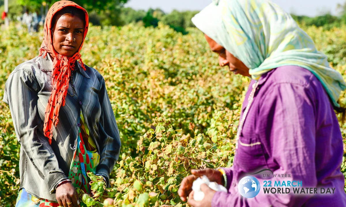 World Water Day – Sustainable Cotton Farming Significantly Reduces Water Consumption