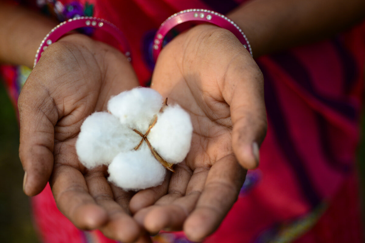Cotton 2040: Global coalition set to make sustainable cotton the mainstream choice