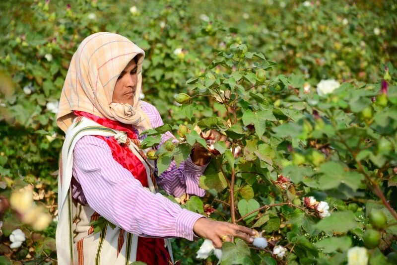 World Water Week 2017 – ‘water and waste: reduce and reuse’