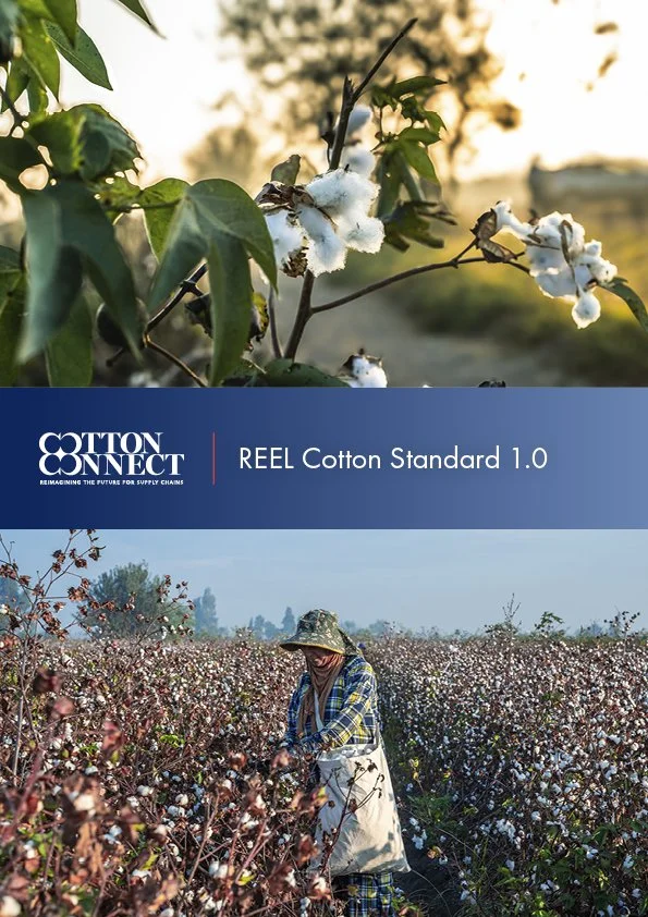 REEL Cotton Standard