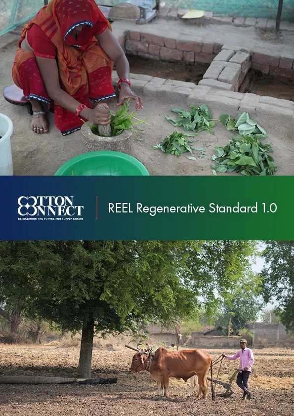 REEL Regenerative Standard 1.0