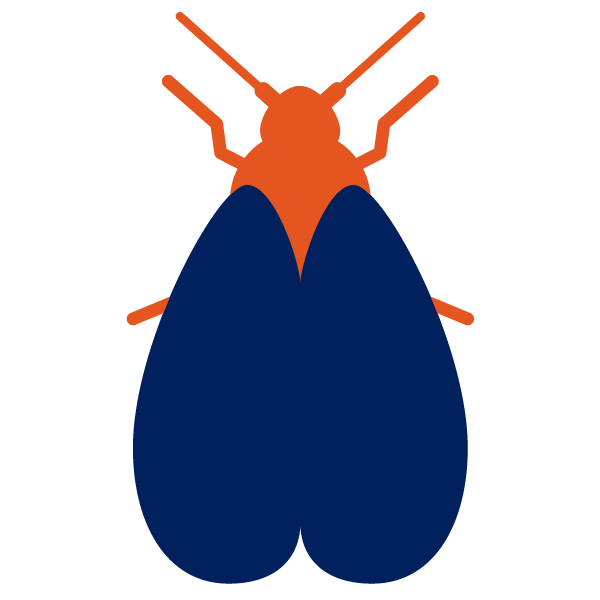 Pests Icon