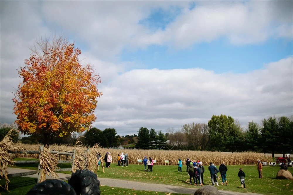 Long Acre Farms - Rochester NY - Corn Maze, Winery, & MORE!