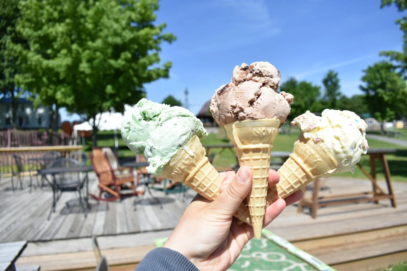 Spring & Summer Activities | Long Acre Farms - Rochester NY