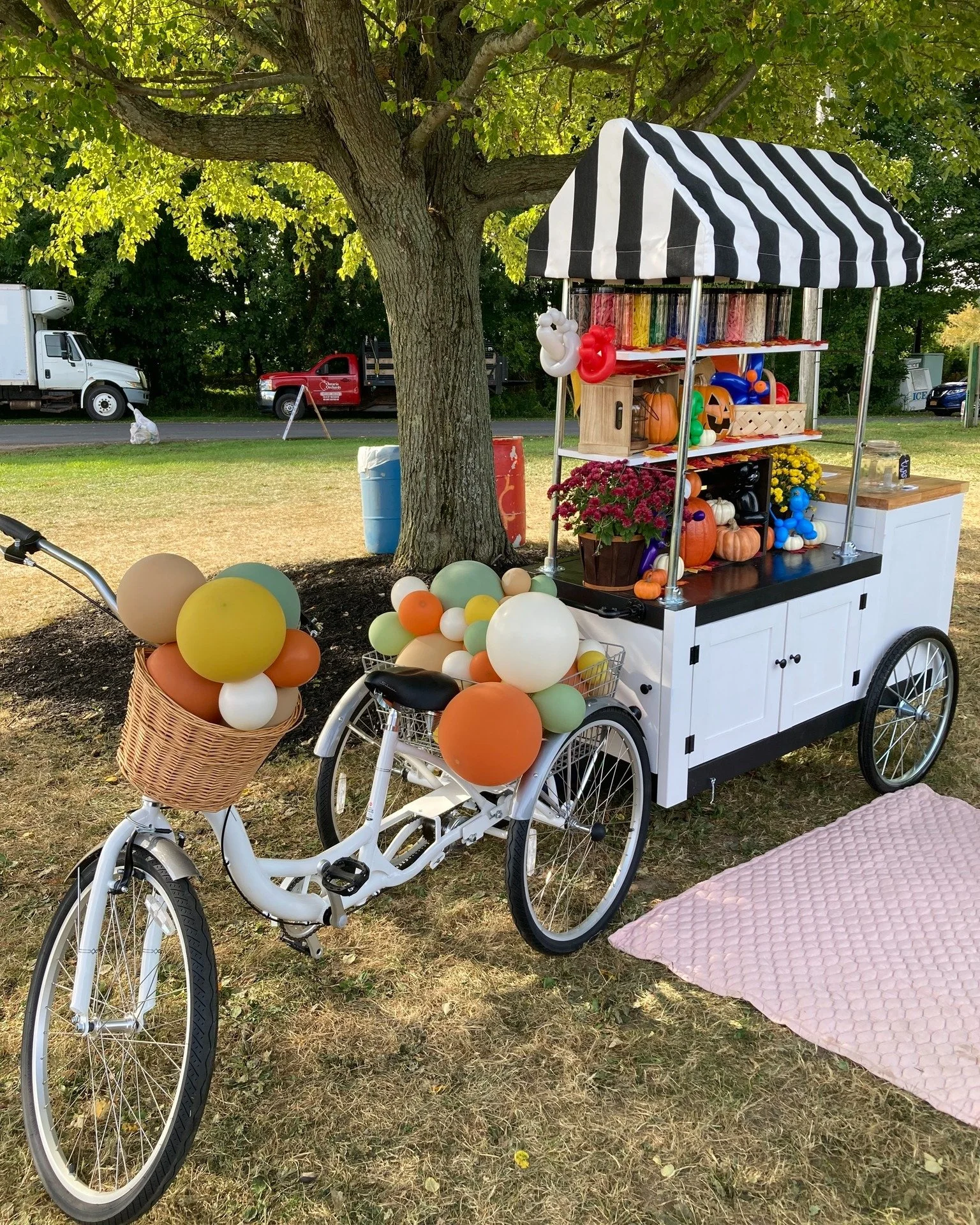 Planning on coming to Fall Festival on Sunday 10/4? We are having a BALLOON Peddler from 11-5pm!! They'll be able to make all sorts of crazy designs for the kids (and the kids at heart!) She will be popping up multiple times this season, so if you're