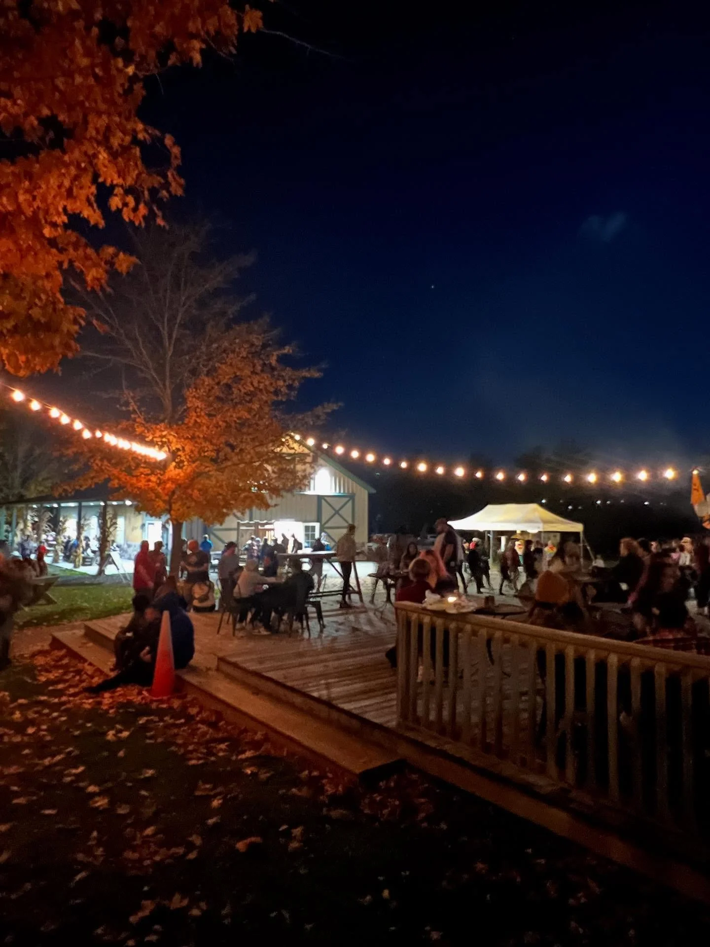 See you at the farm tonight!! Sky looks clear, weather is perfect, fall vibes are high.

Moonlight maze kicks off at 5pm and tickets til 9pm (closing at 11pm). Grab your ticket online to reserve your space. Tickets run every half hour to limit the nu