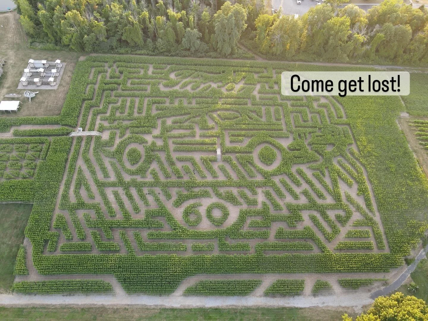 4 opportunities to get lost this holiday weekend in the largest Ford Mustang!! Fast Never Fades 

Friday moonlight maze- tickets run 5-9pm, closing at 11pm. Pre purchase your ticket online!!

Saturday, Sunday &amp; Monday tickets 10-5pm, closing at 6